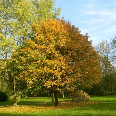 Daillancourt Le Grand Pre B&B 외부 사진