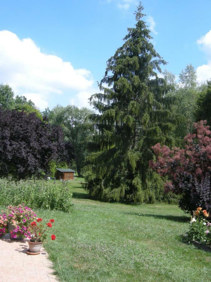 Daillancourt Le Grand Pre B&B 외부 사진